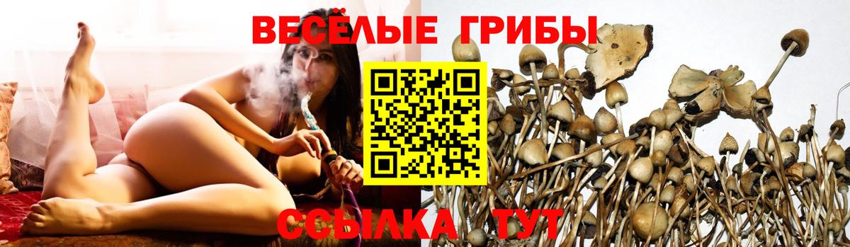 Галлюциногенные грибы ЛСД Ачхой-Мартан